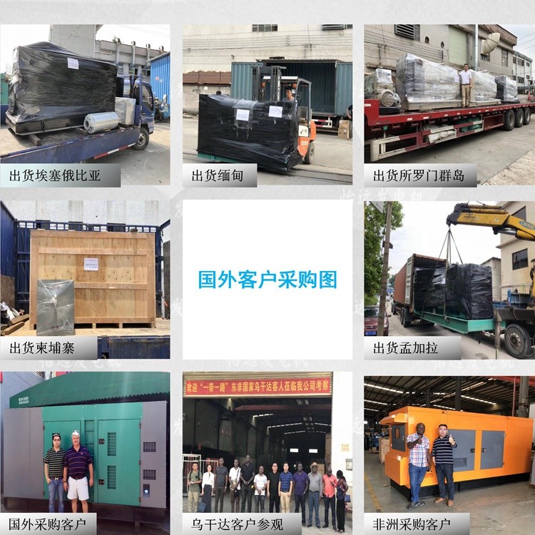 非洲發(fā)電機組供應,南非發(fā)電機